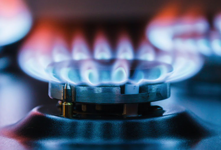 Natural Gas Appliance Burner